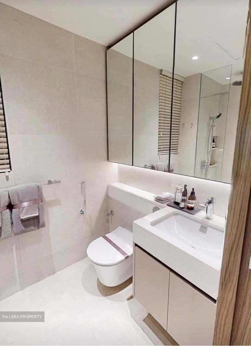 The Reserve Residences (D21), Apartment #613358861